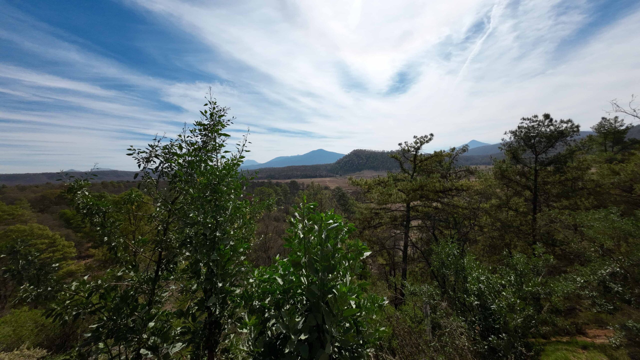 Naturaleza Pura y Aire Limpio